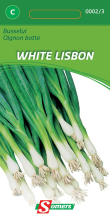 Somers Busseluizaden   White Lisbon   Zaadvast ui