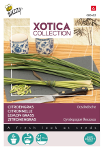 Buzzy seeds Buzzy® Xotica Citroengraszaden