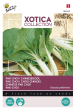 Buzzy seeds Buzzy® Xotica Paksoi Kanton zaden
