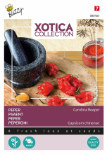 Buzzy seeds Buzzy   bloemzaden   Xotica peper Carolina Reaper   Groentenzaden   Ca. 10 Zaden
