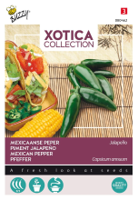 Buzzy seeds Buzzy® Xotica Peper zaden   Jalapeño