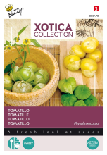 Buzzy seeds Buzzy® Xotica Tomatillo zaden   Mexicaanse Aardkers