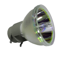 Acer MC.JPV11.001 Projectielamp 203 W   Hypertec Direct