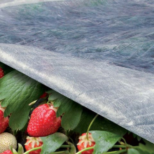 TENAX Ortoclima Tuinbeschermingsvlies   2,4 x 500 m, Wit