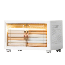SNSP enkellaagse opbergbox en organizerbox, opvouwbare opbergkast, opbergbox voor kleding en kledingstukken, speelgoed, snacks en boeken, opbergkast voor thuis, woonkamer, slaapkamer en studentenappartement, 67 l, 1 stuk