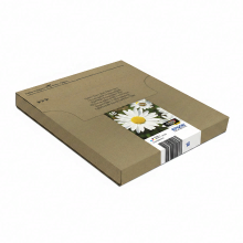 Epson Daisy multipack 4 kleuren 18 EasyMail