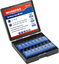 WORKPRO 16 delige schroevendraaierbitset, Torx bitset van S2 staal (25 mm), magnetische Torx bits met bithouder, universele 6,35 mm zeskantassen, precisie bewerkt, inclusief opbergdoos.
