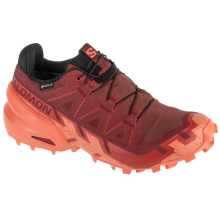 Salomon Speedcross 6 GTX W 475843 40