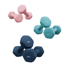JOYFURNOS Ochama zeshoekige halterset met standaard – 3 paar: 1 kg, 2 kg, 3 kg, matte neopreencoating – handgewichten voor thuistraining