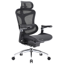 Sihoo Doro C300 Pro ergonomische bureaustoel met ultrazachte 6D armleuningen, dynamische lendensteun, verstelbare zitdiepte en verstelbare rugleuning, voor thuiswerk (zwart)