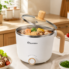 IAGREEA 1,0 L mini elektrische kookpan, multifunctionele hotpot  & noedelkoker met roestvrijstalen binnenpan, 300 W/600 W dubbele vermogensregeling, compacte koker voor soep, rijst, pasta, koken & dagelijkse maaltijden MS AFX004