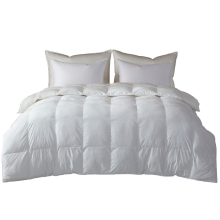 MENDALE 2 in 1 4 seizoenen ganzen donsdekbed, 60% witte ganzen dons 15 Tog (4,5+10,5) tweepersoons dekbed met 100% katoenen hoes, 200x200 cm, boxconstructie hypoallergeen machinewasbaar