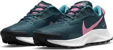 Nike Pegasus Trail 3 DA8698 300 Maat 40,5