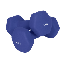 JOYFURNOSpaar hexagonale dumbbells van 2,5 kg – handgewichten met neopreen coating voor thuistraining, fitness en krachttraining – havenblauw