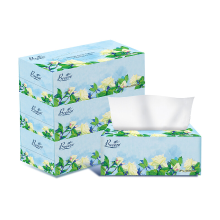 BREEZE Blossom Box Gezichtstissues Groot Formaat 2 laags 200 Vellen x 3 Dozen, Totaal 600 Vellen, Zacht & Huidvriendelijk, Sterk Nat, Bloemmotief, Voor Woonkamer, Eettafel, Slaapkamer, Kantoor