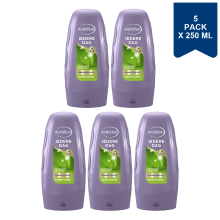 Andrélon Conditioner   Dagelijks 250 ml (5 Pack)