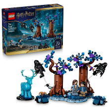 LEGO Harry Potter™ 76475 Verboden Bos: Expecto Patronum