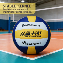 Double Fish VC500P Maat 5 Volleybal, Professionele Training & Matchbal, Zachte Microvezel Hoes, Officiële Volleybal voor School, Club, PE examen en Wedstrijd