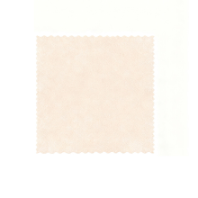 BJ Wegwerp afwasdoek van loof (25 x 25 cm)   20 stuks