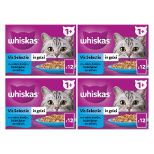 Whiskas natvoer voor volwassen katten visselectie in gelei multipack 12 x 85 g * 4