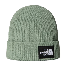The North Face herenhoed NF0A8CGZ leigrijs mosgroen universeel