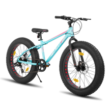 JoyStar Hiland Roon mountainbike voor kinderen, tieners en volwassenen met dikke banden, Europese standaard, Shimano 7 versnellingen en dubbele schijfrem, groen, 24 in
