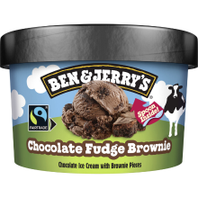 Ben & Jerry's Ben & Jerry's chocolade fudgebrownie roomijs   100 ml