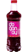 Doganay Salgam Suyu Acili 1 LT (Pittig radijssap)