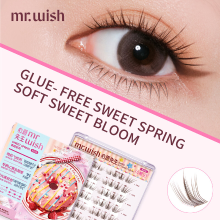 MR.WISH Lijmvrije Sweet Spring Serie Kleine Snoepbonen 48 Klontjes