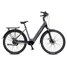 Rabeneick Comfort E Bike Wave 51 grijs