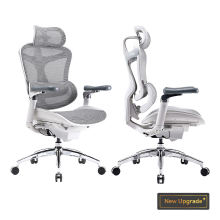 Sihoo Doro C300 Pro ergonomische bureaustoel met ultrazachte 6D armleuningen, dynamische lendensteun, verstelbare zitdiepte en verstelbare rugleuning, voor thuiswerk (Wit)