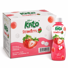 KATO Aardbeiensap met nata de coco 320 ml × 24
