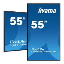 Iiyama 55
