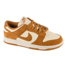 Nike Dames Dunk Low HJ7673 100 Maat 42