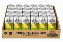 Fruit.B x Tropische Ananasschijfjes Drank 340 ml. × 24