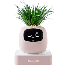 PLANTSIO Zomercadeau om je huis op te fleuren – Ivy AI slimme plantenpotrobot met interactieve gezichtsuitdrukkingen, automatische plantverzorging, woondecoratie voor drukke mensen, toont de emoties van de plant (roze)