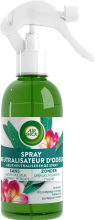Air Wick Airwick Eucalyptus Spuitbus 237 ml Enkelverpakking