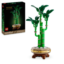 LEGO Botanicals 10344 geluksbamboe