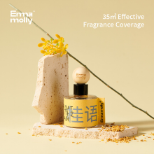 Emma Molly Zwevende Ballonauto Aroma Diffuser Osmanthus Zwevende Lamp