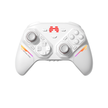 BEITONG PanGu Aangepaste Modulaire Controller, Draadloze/Bluetooth Gamepad, Hot Swap Modulen, Aanpasbare Joysticks/Buttons/D Pads/Motoren voor PC/NS/NS2/iOS/Android
