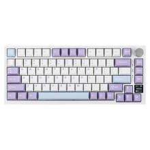 Ajazz AK820 Pro mechanisch 75% toetsenbord, Tri Mode, QWERTY US indeling, Gasket Mount, bedraad/Bluetooth/2,4G, TFT display, RGB achtergrondverlichting, hot swappable, geluiddempend schuim, PBT toetskapjes, compatibel met Windows, Mac en pc, Gift Switch P