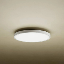 Xiaomi slimme plafondlamp D30