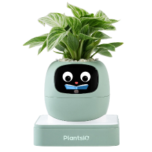 PLANTSIO Zomercadeau om je interieur op te fleuren – Ivy AI slimme plantenpotrobot met interactieve gezichtsuitdrukkingen, intelligente plantverzorging, woondecoratie voor drukke mensen, toont de emoties van de plant (muntgroen)