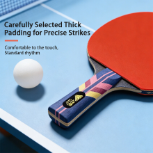 Double Fish Diamond serie 9 sterren professionele tafeltennisschop Shakehand horizontaal enkele schop