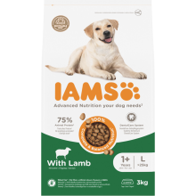 IAMS Dog Adult Large Lam 3 kg