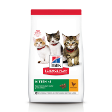 Hill's Science Plan Kattenvoer Droog Kitten Kip 1,5 kg