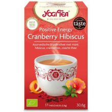 6X Yogi tea Biologische Thee Positive Energy 17 stuks