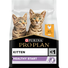 6X Pro Plan Kattenvoer Droog Kitten Healthy Start Kip 1,5 kg