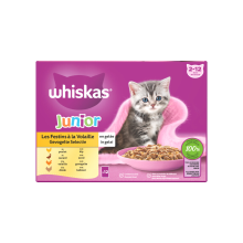 Whiskas Junior Multipack Gevogelte Selectie in Gelei 12 x 85 gr