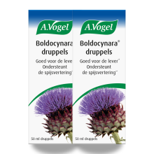 A Vogel 2x A.Vogel Boldocynara Druppels 50 ml